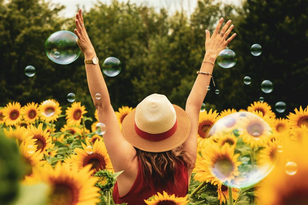 Fotografie Der Frau, Umgeben Von Sonnenblumen